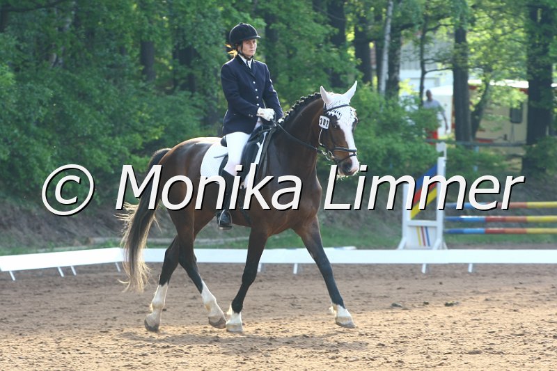 104M4955_Shonela_Dressur E.JPG